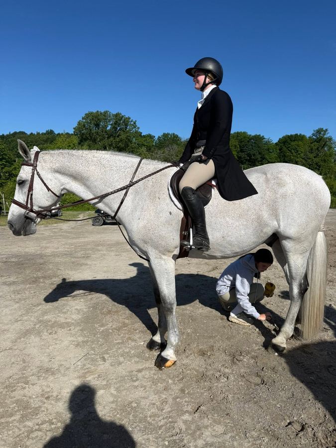 Rider in formal habit with hoof preparation before a show, Forman Show Stables